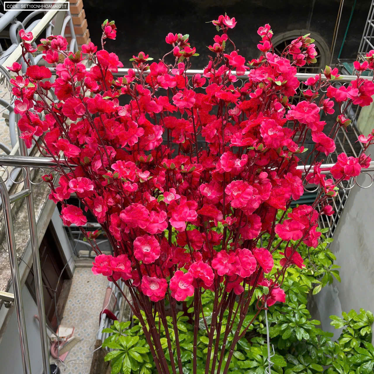 Set 10 CÀNH HOA MAI - ĐÀO TẾT 7 Set 10 CÀNH HOA MAI - ĐÀO TẾT