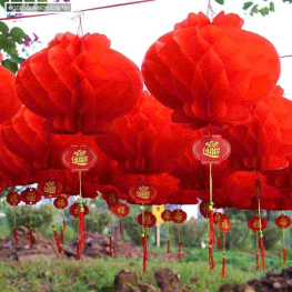 Combo 50c (5 Bịt) - mỗi bịt 10 LỒNG ĐÈN GIẤY (F25 / 20CM ) - COMBO50C5BT01