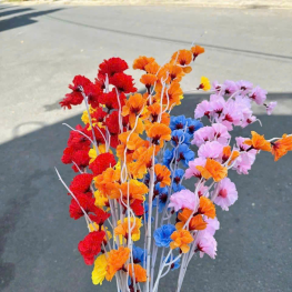 1 CÀNH ĐÀO RÂU - 1CNHORU