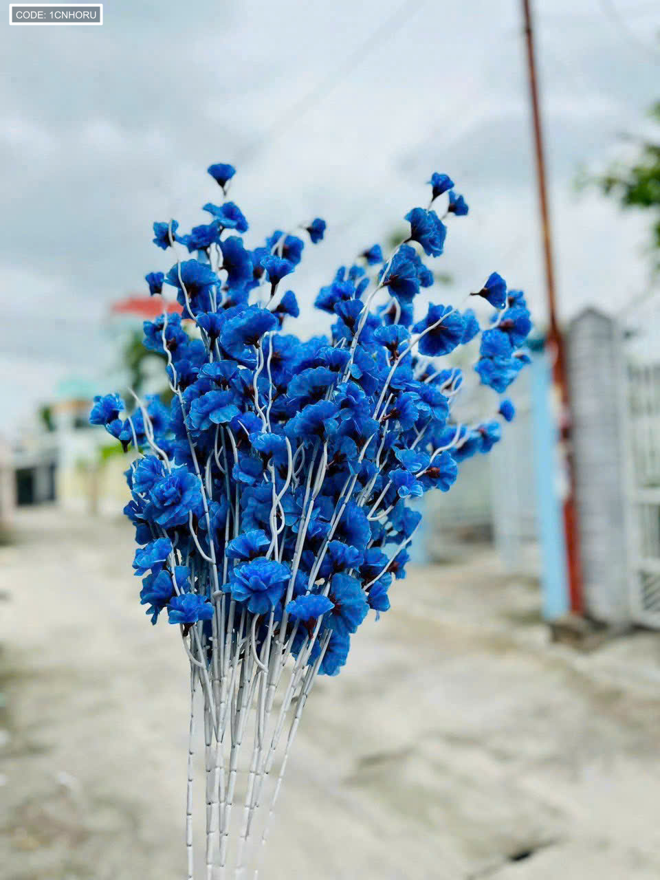 Phân phối 1 CÀNH ĐÀO RÂU 12 Phân phối 1 CÀNH ĐÀO RÂU