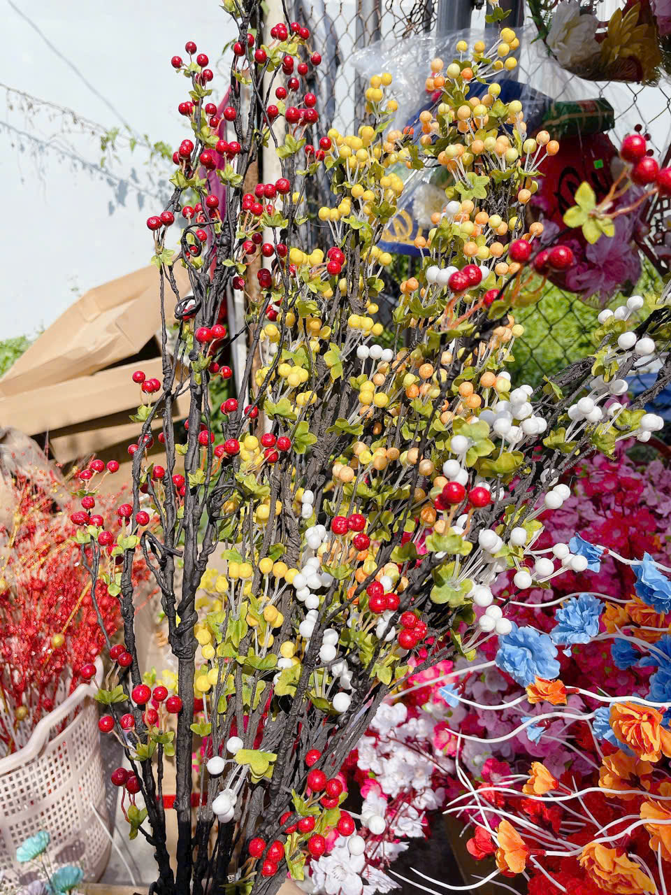 27356_z7232753932573-f8855cbd6e63df1bcf7fb1dff8506c89_20251119140304.png 1 CÀNH CHERRY CỔ - 1CNHCHERRYC