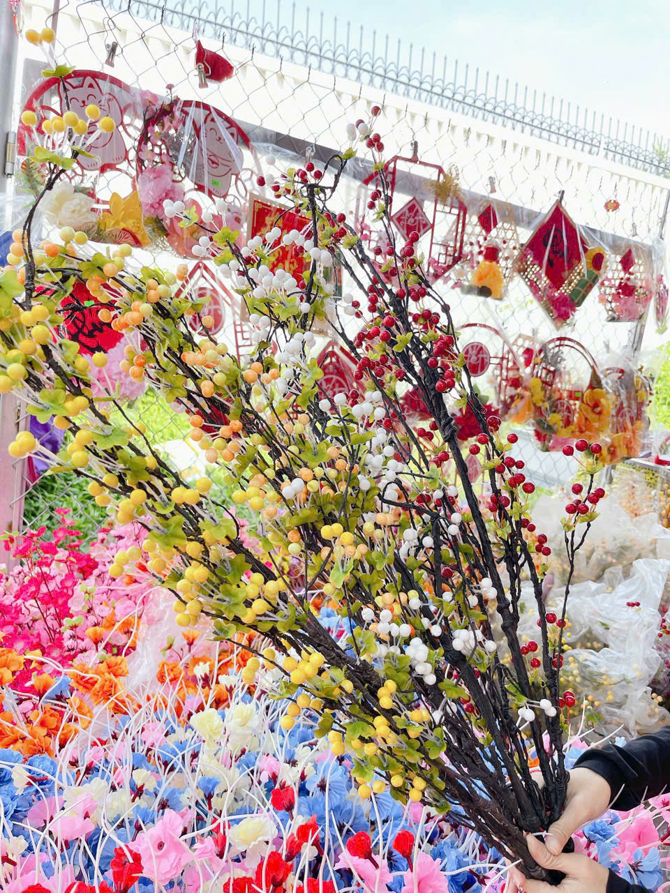 27356_z7232753942315-ca1b2cbd3f6dc983481bd07467638b08_20251119140302.png 1 CÀNH CHERRY CỔ - 1CNHCHERRYC