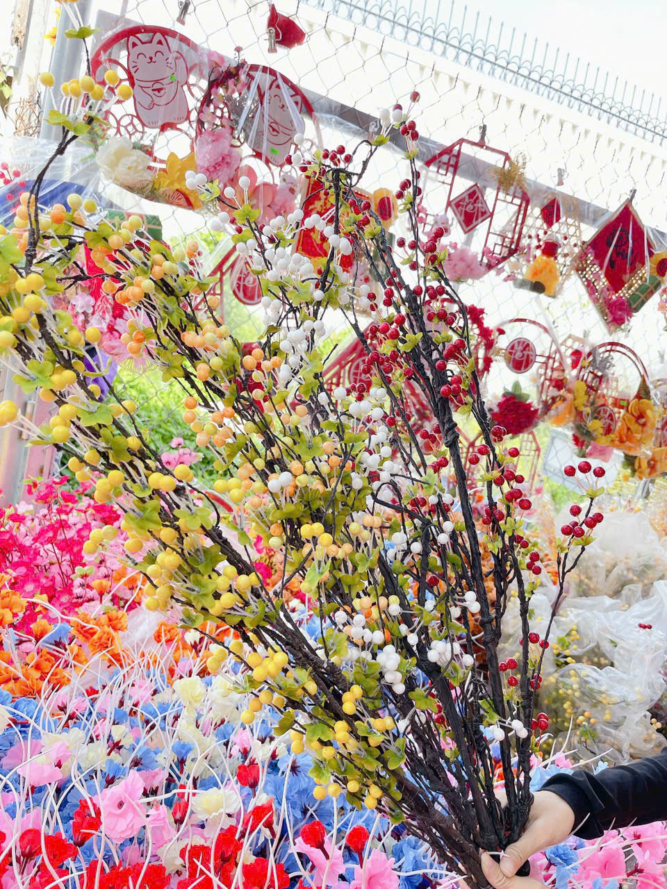 27356_z7232753948271-563d5f69f2bdca3e587190ac8a673ebc_20251119140303.png 1 CÀNH CHERRY CỔ - 1CNHCHERRYC