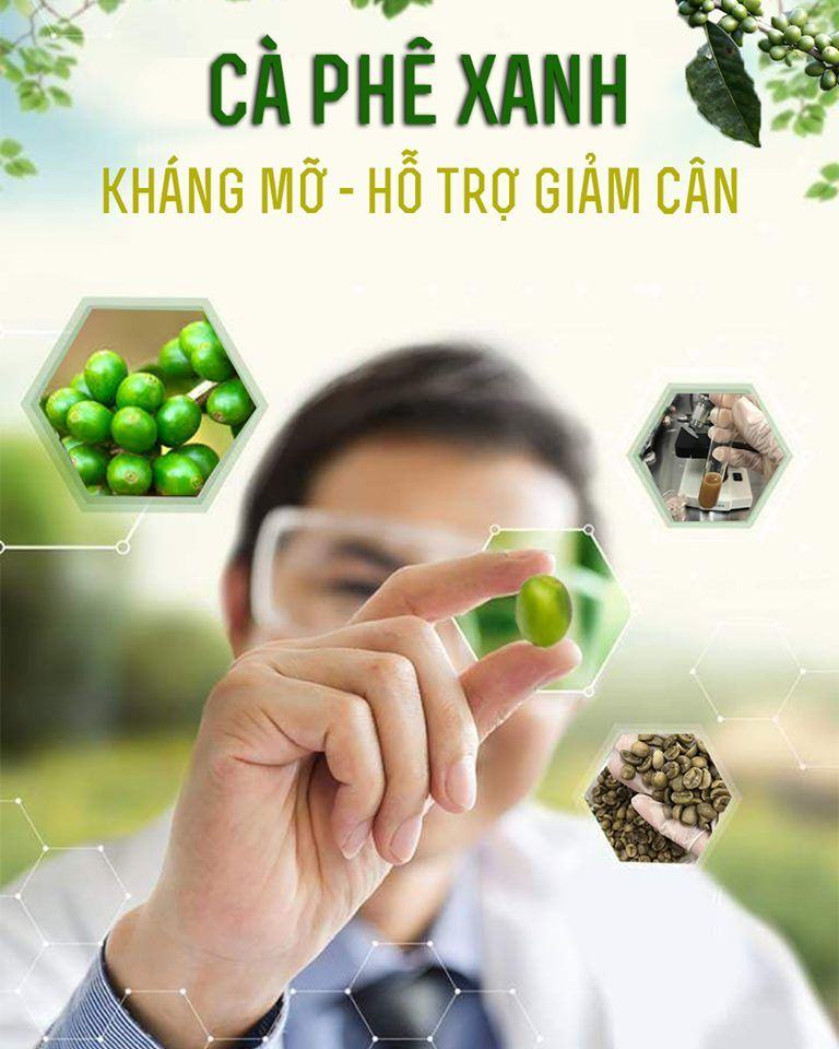 CÀ PHÊ XANH - THỨC UỐNG KHÁNG MỠ, HỖ TRỢ GIẢM CÂN AN TOÀN - HIỆU QUẢ - ÍT TỐN KÉM