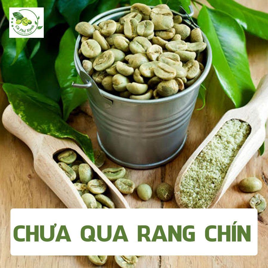CÀ PHÊ XANH KHÁC GÌ SO VỚI CÁC LOẠI CÀ PHÊ THÔNG THƯỜNG?