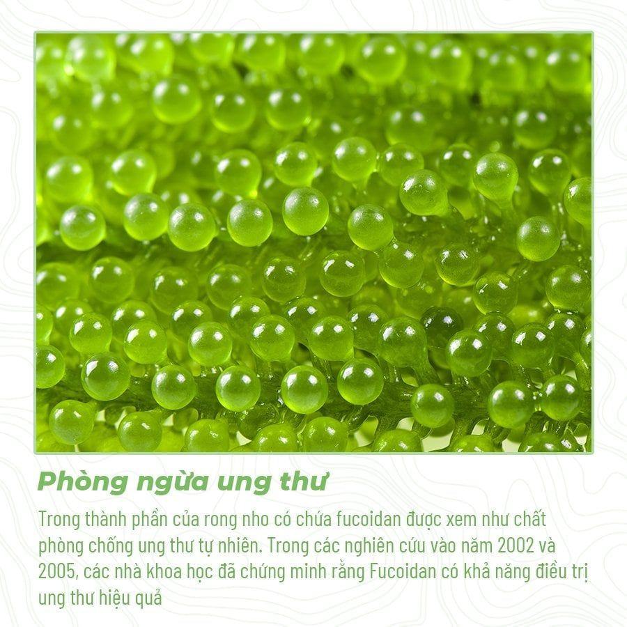 3 tác dụng bất bờ đến từ món quà Rong nho Namiso tặng gia đình