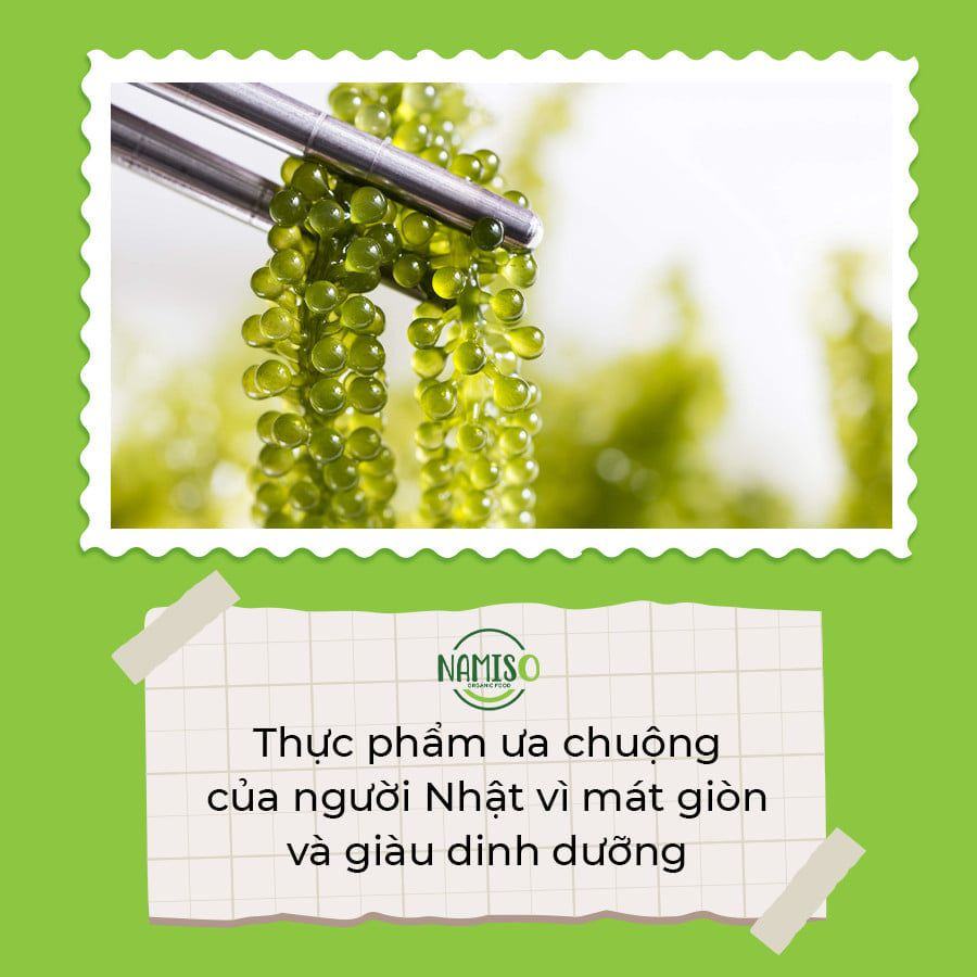 RONG NHO NAMISO - Món ăn nhất định phải thử ít nhất một lần trong đời