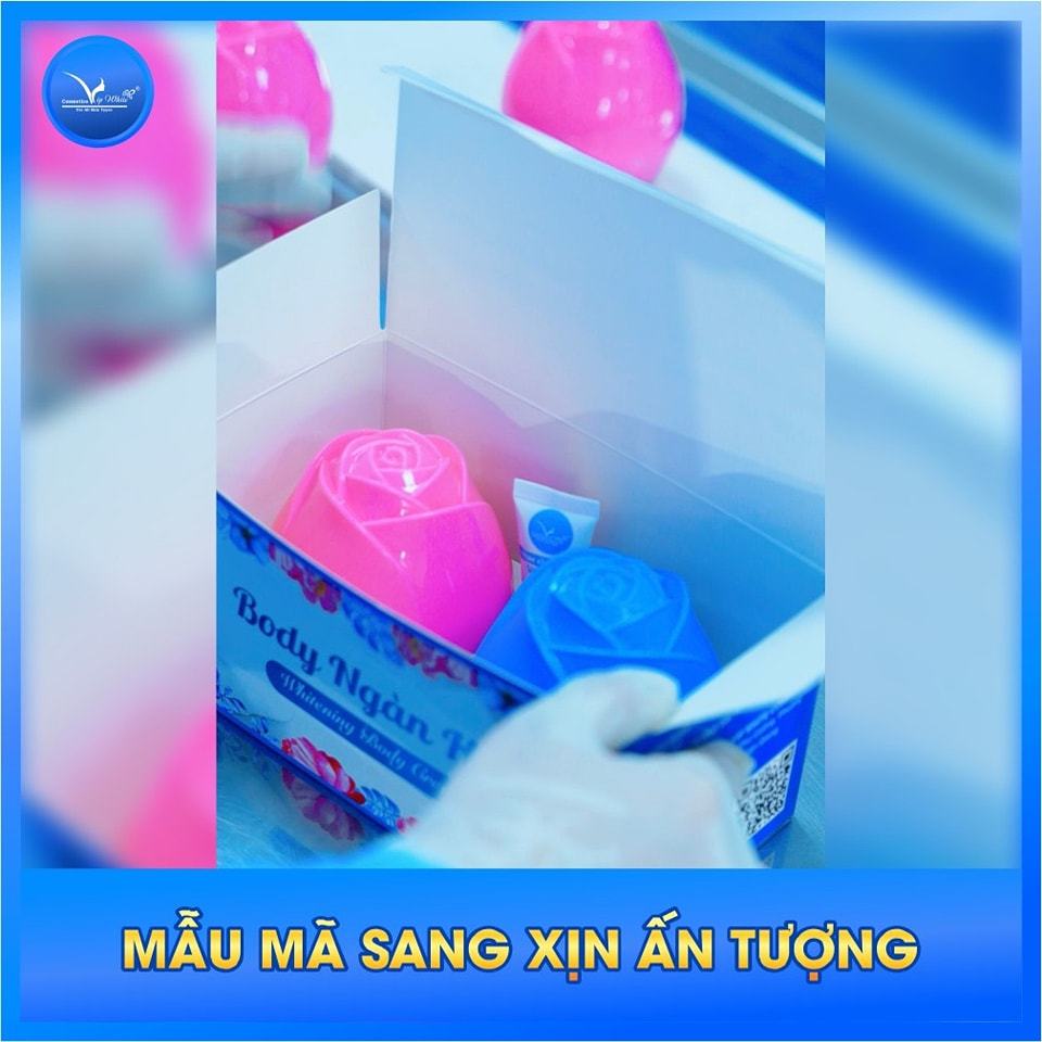 Sự Kết Hợp Vô Cùng Độc Đáo